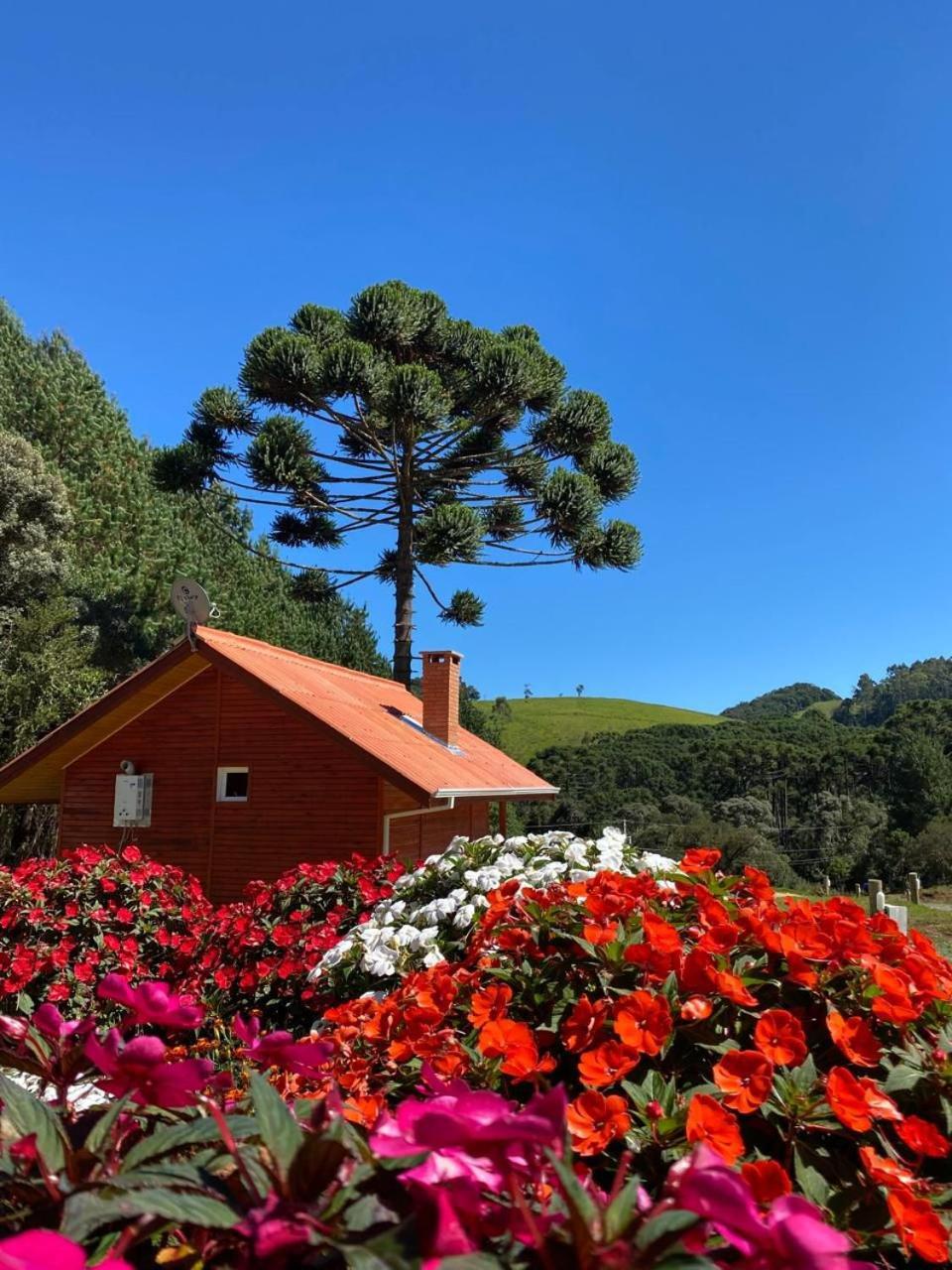 Chales Canto Da Serra Monte Verde  Exterior foto
